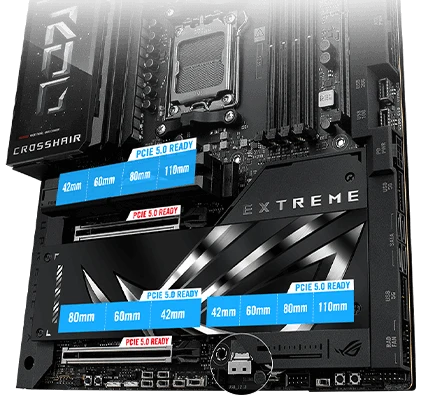 Distribución PCIe y M.2